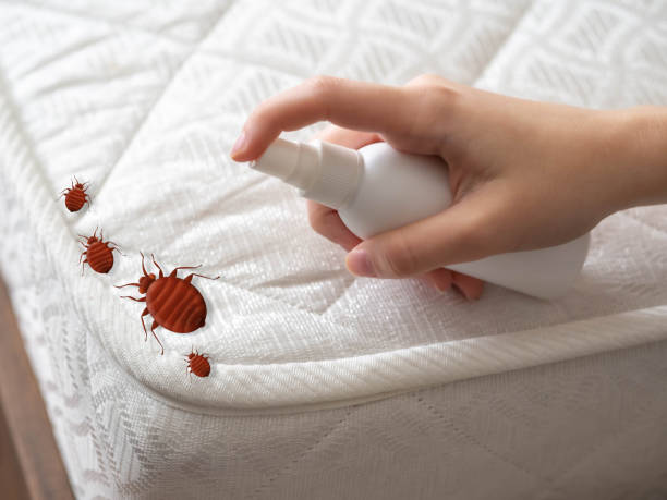 Best Residential Pest Control  in Spotswood, NJ